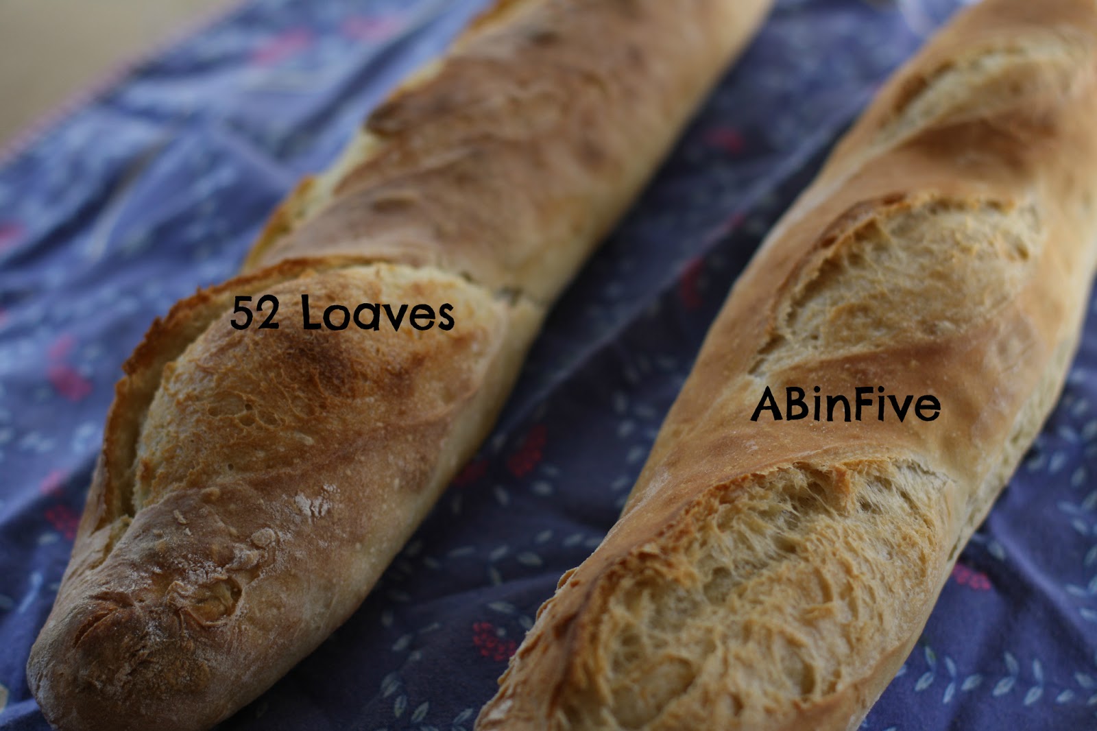 Hearth Arts 52 Loaves vs. ABinFive A Baguette Search
