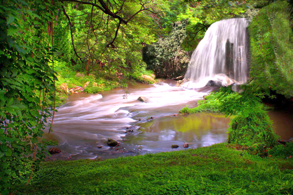 [Image: khongdaugiongnhucuba_07.jpg]