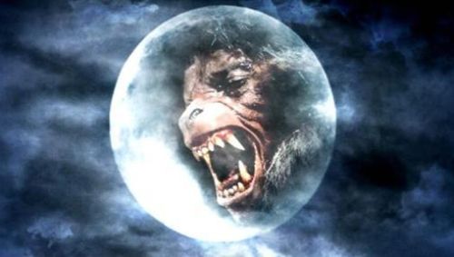 Werewolf Of London Lyrics Meaning