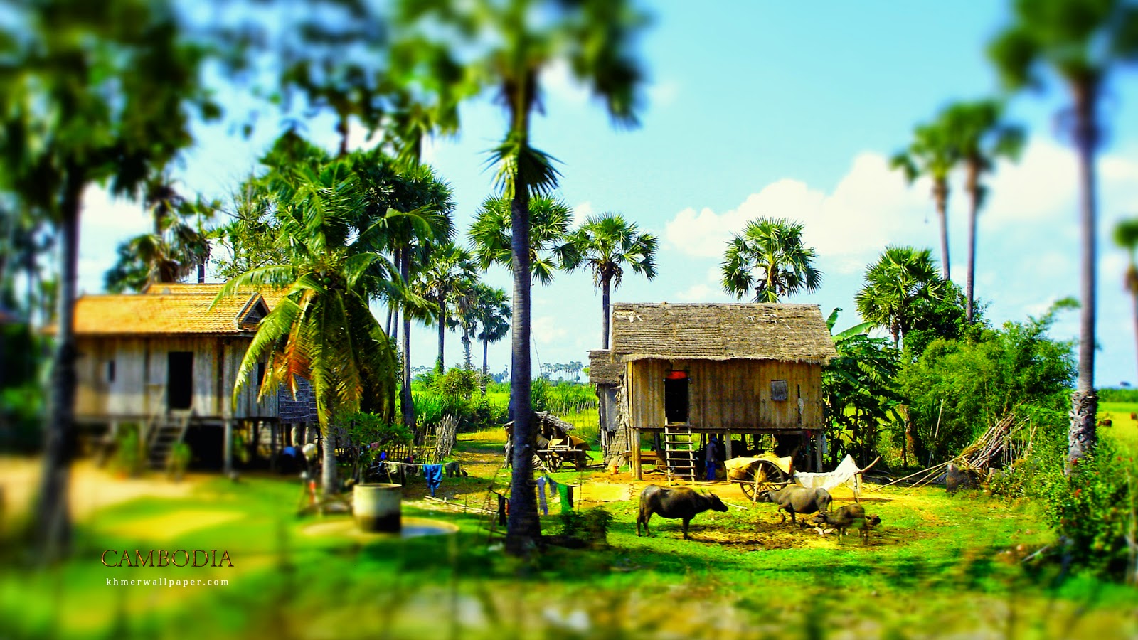 Cambodia countryside Khmerwallpaper
