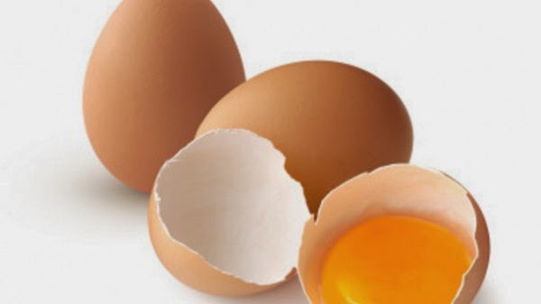 Egg Shell In Dog Food Egg Shell In Dog Food