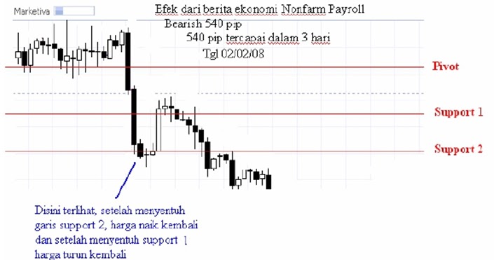 Belajar forex trading pemula