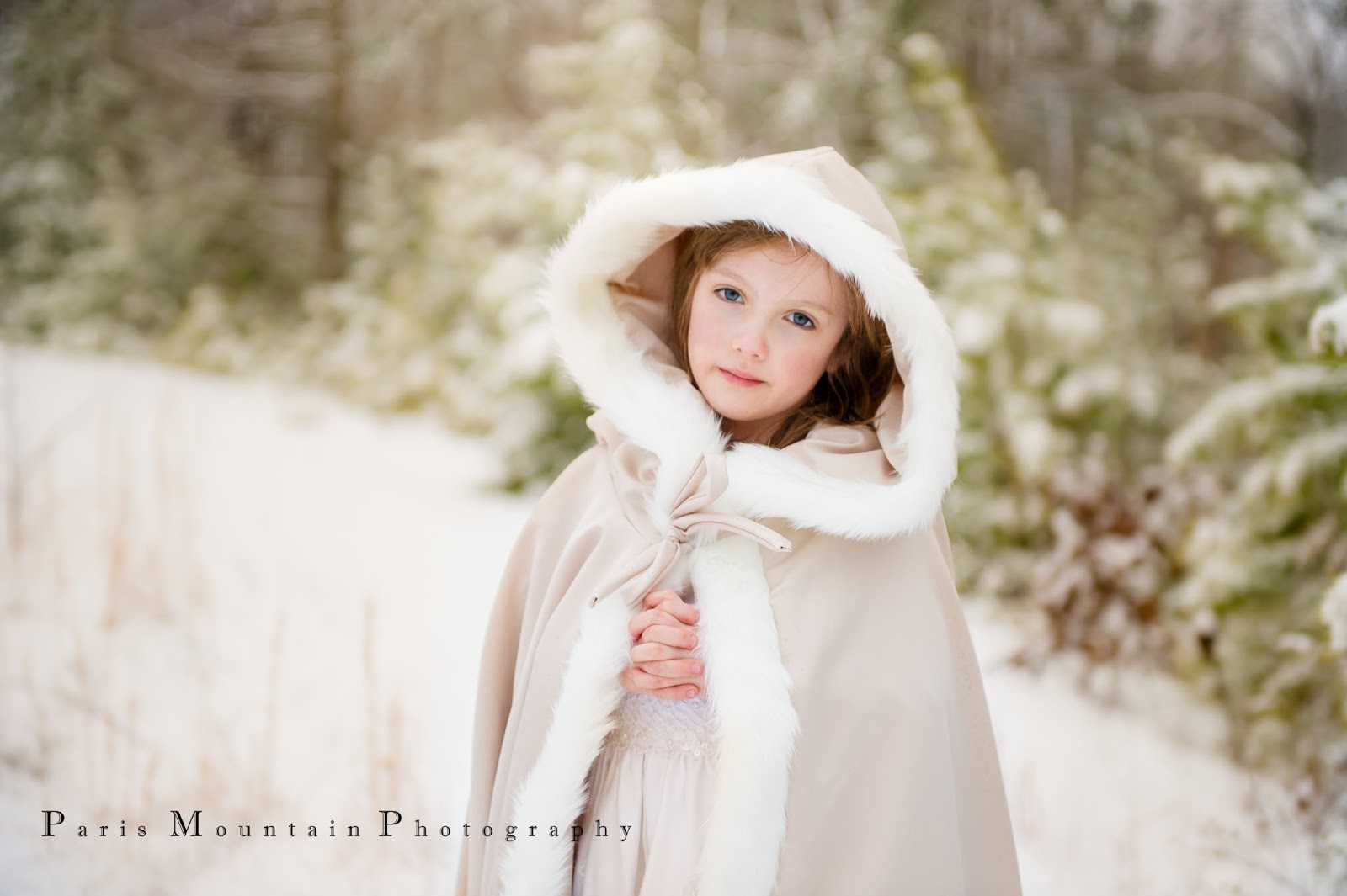 Paris Mountain Photography Blog Winter Wonderland Snow