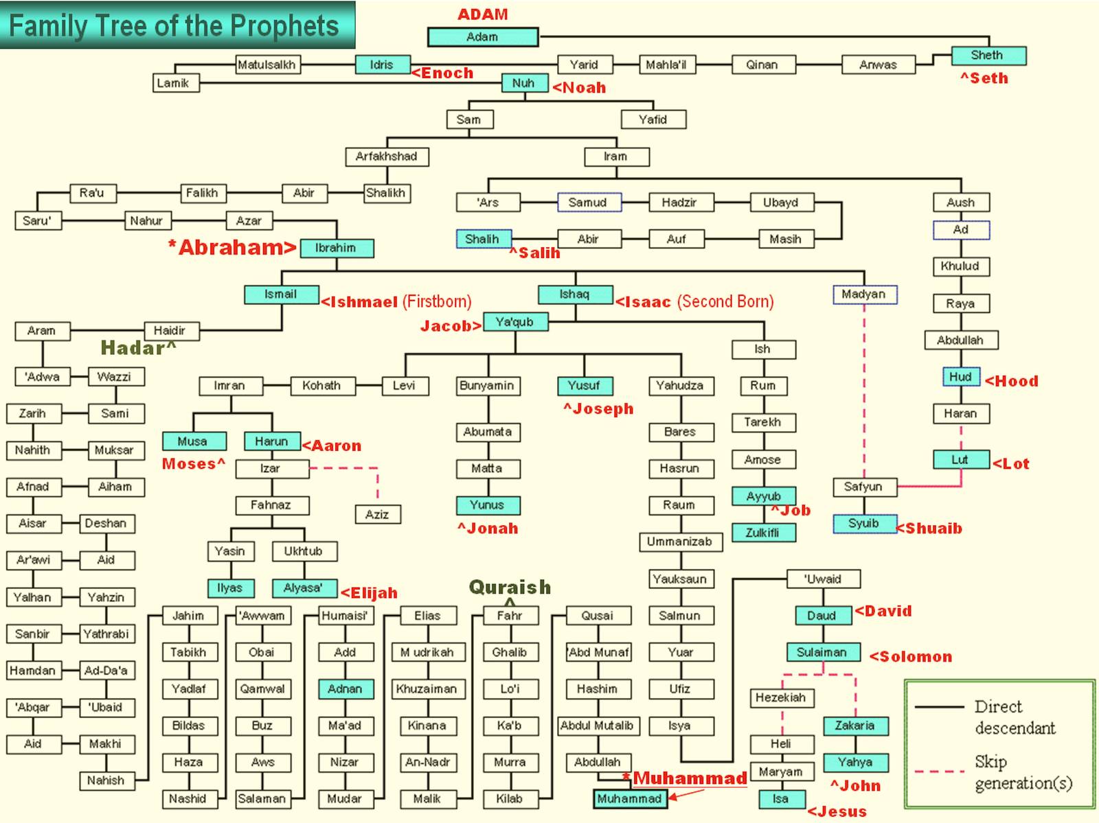 Adam And Family Tree Chart Free
