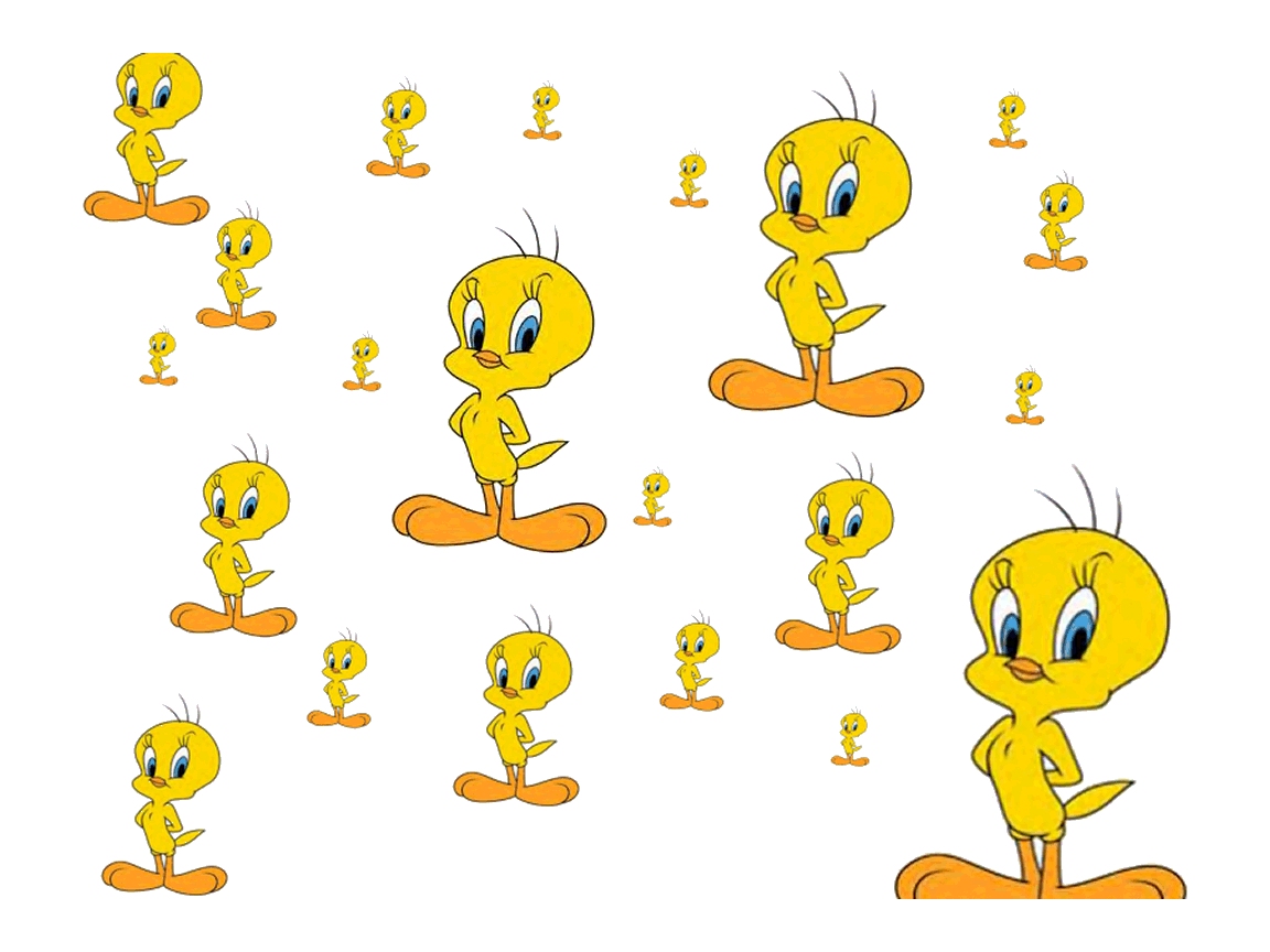 http://2.bp.blogspot.com/-LZl9uaDBX8w/TkS9HHn-eLI/AAAAAAAAAUY/az4Lj48AZZA/s1600/baby-bird-tweety-wallpaper%20(10).jpg