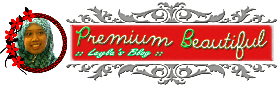 leyla's blog : Premium Beautiful Corset