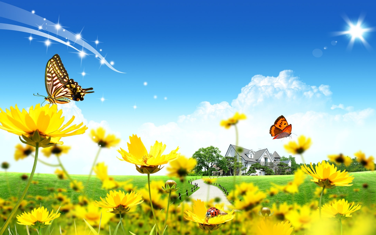 http://2.bp.blogspot.com/-LZq2w8CHJeM/UKizyN0Z8DI/AAAAAAAAAAs/j2MHrsBe96o/s1600/beautiful_flowers_home-1280x800.jpg