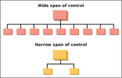 what is narrow span of control