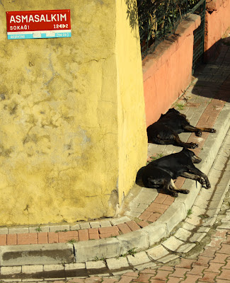 İstanbul Gezentisi: Şubat 2012