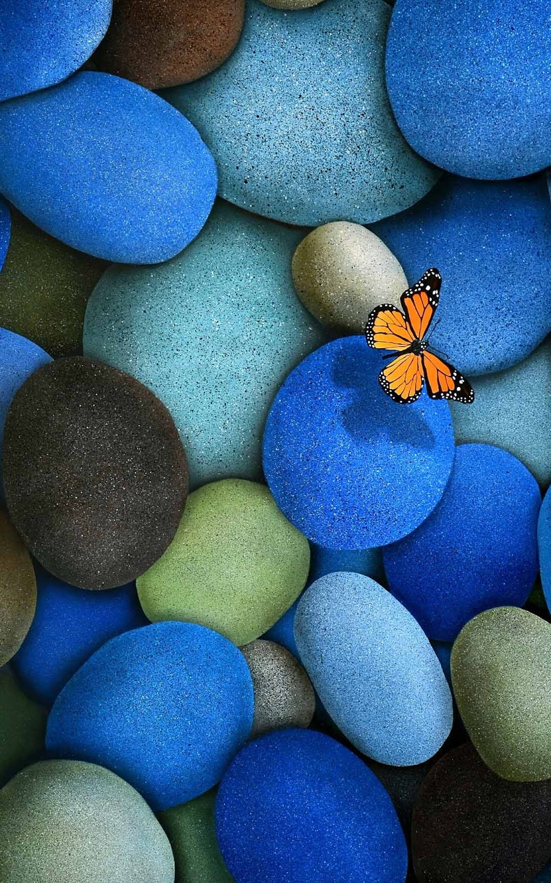 Galaxy Note Hd Wallpapers Blue Pebbles Orange Butterfly Galaxy Note Hd Wallpaper