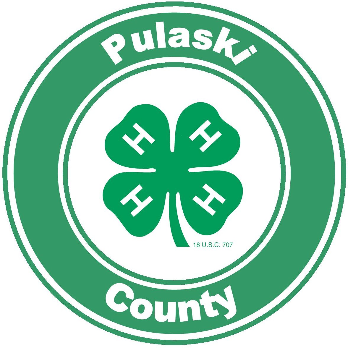 4 H In Pulaski County Virginia
