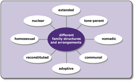 The Structure Of The American Family Structures