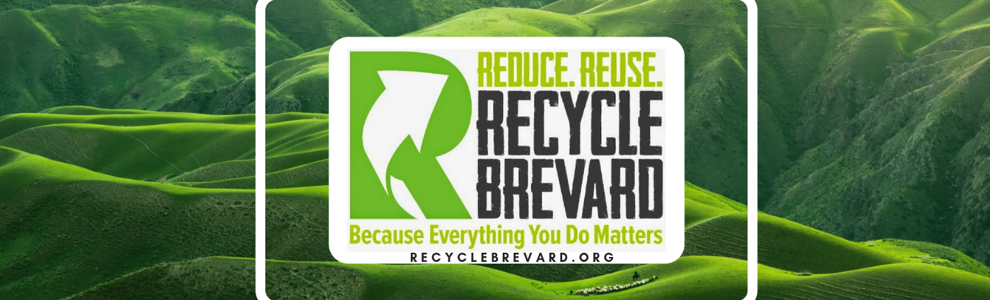 Summer Themed Mini String Art Plus Free Easy Templates Recycled