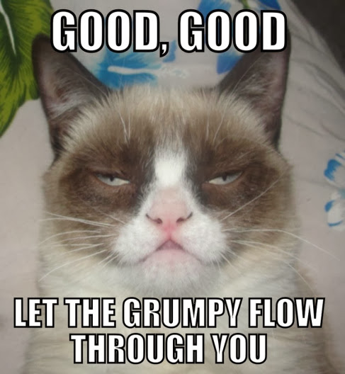 [Image: grumpy-let-the-grumpy-flow-through-you.jpeg]