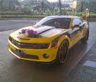 decorasi mobil pengantin