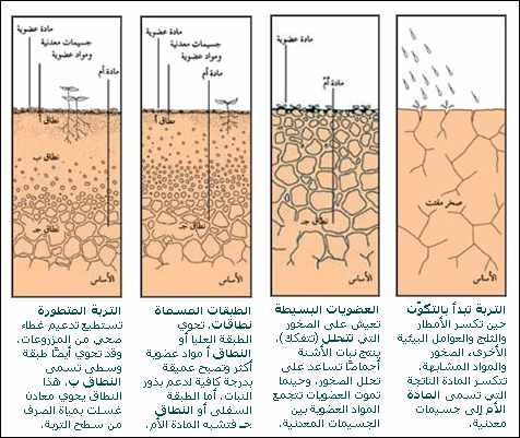 التربة هي الطبقة السطحية الهشة %D8%A7%D9%84%D8%AA%D8%B1%D8%A8%D8%A9+%D9%88%D9%85%D9%83%D9%88%D9%86%D8%A7%D8%AA%D9%87%D8%A71