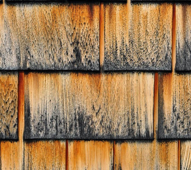 Burnt Wood Burnt Wood
