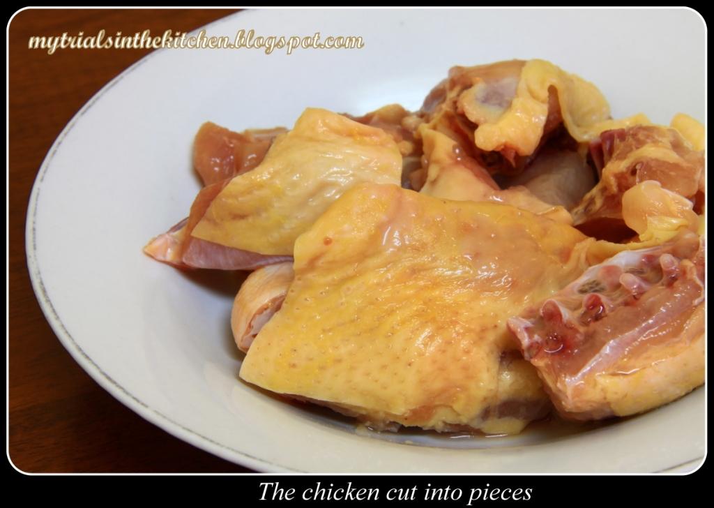 My Trials in the Kitchen Radish & Carrot Chicken Soup