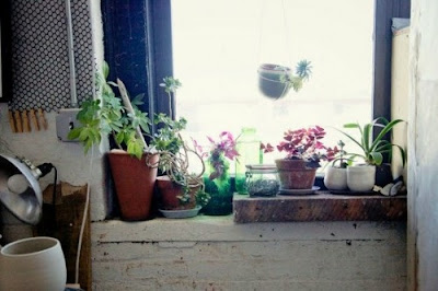 decorar con plantas