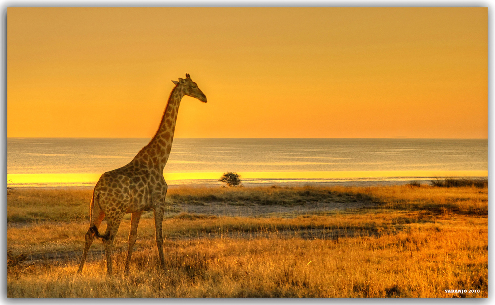 Paisajes Los mejores paisajes de Africa