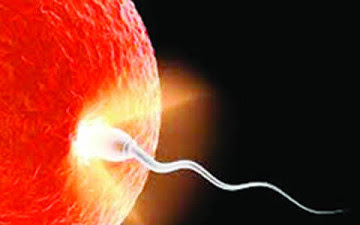 Fertility Clinic Where People SellS Sperm For N50,000 Discovered In Lagos