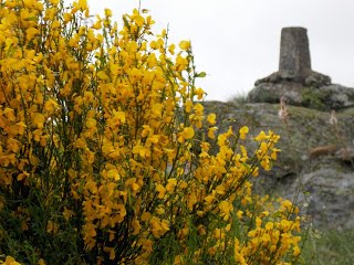 RUTA CANCHO PINOTE Y TUMBAS ANTROPOMORFAS