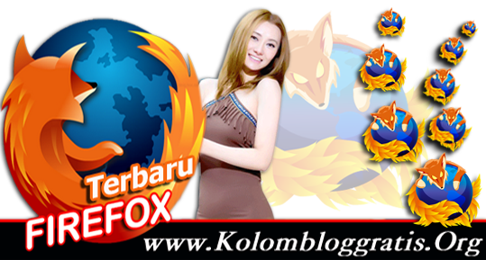 Mozilla Firefox 22