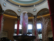 Science Fair/Vegas Pictures (dsc )