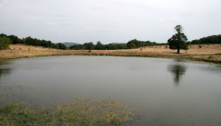 Still lake in the hills Still lake in the hills