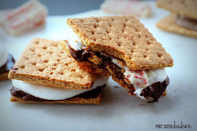 You definitely need to try these s'mores with a holiday twist! Hershey's Candy Cane S'mores are extra special for your winter treat!