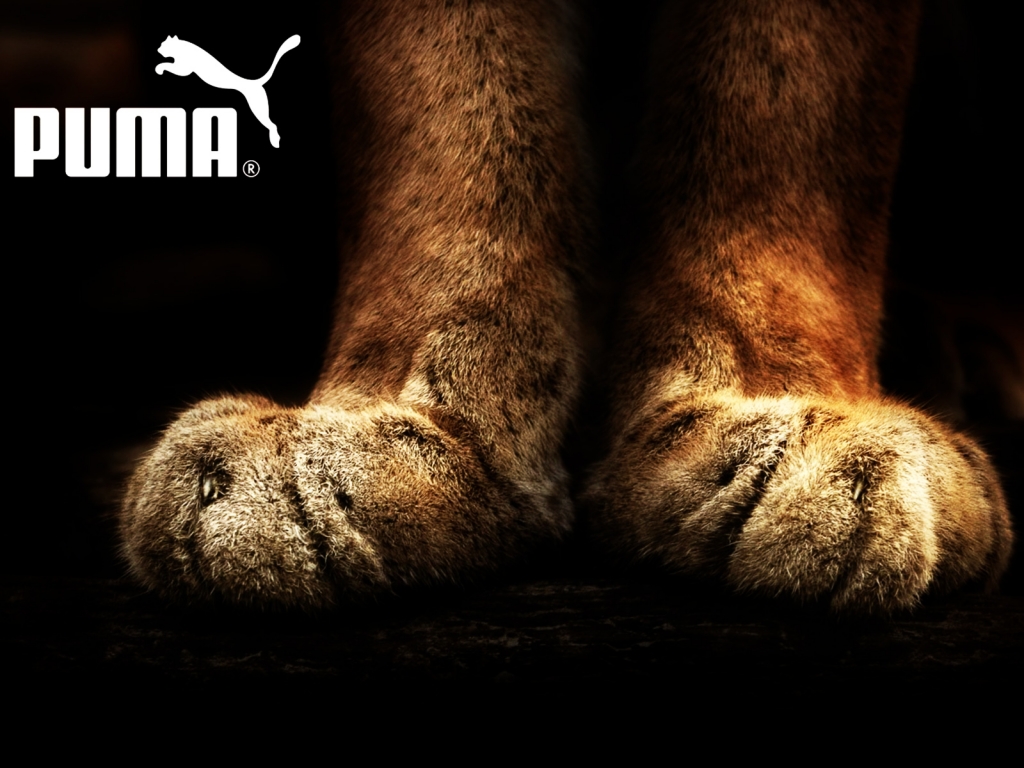 http://2.bp.blogspot.com/-LdN9t1O6cUU/T6s4L9xBPtI/AAAAAAAABpA/wI6ev5nCD50/s1600/Puma+Shoes+Wallpaper.jpeg