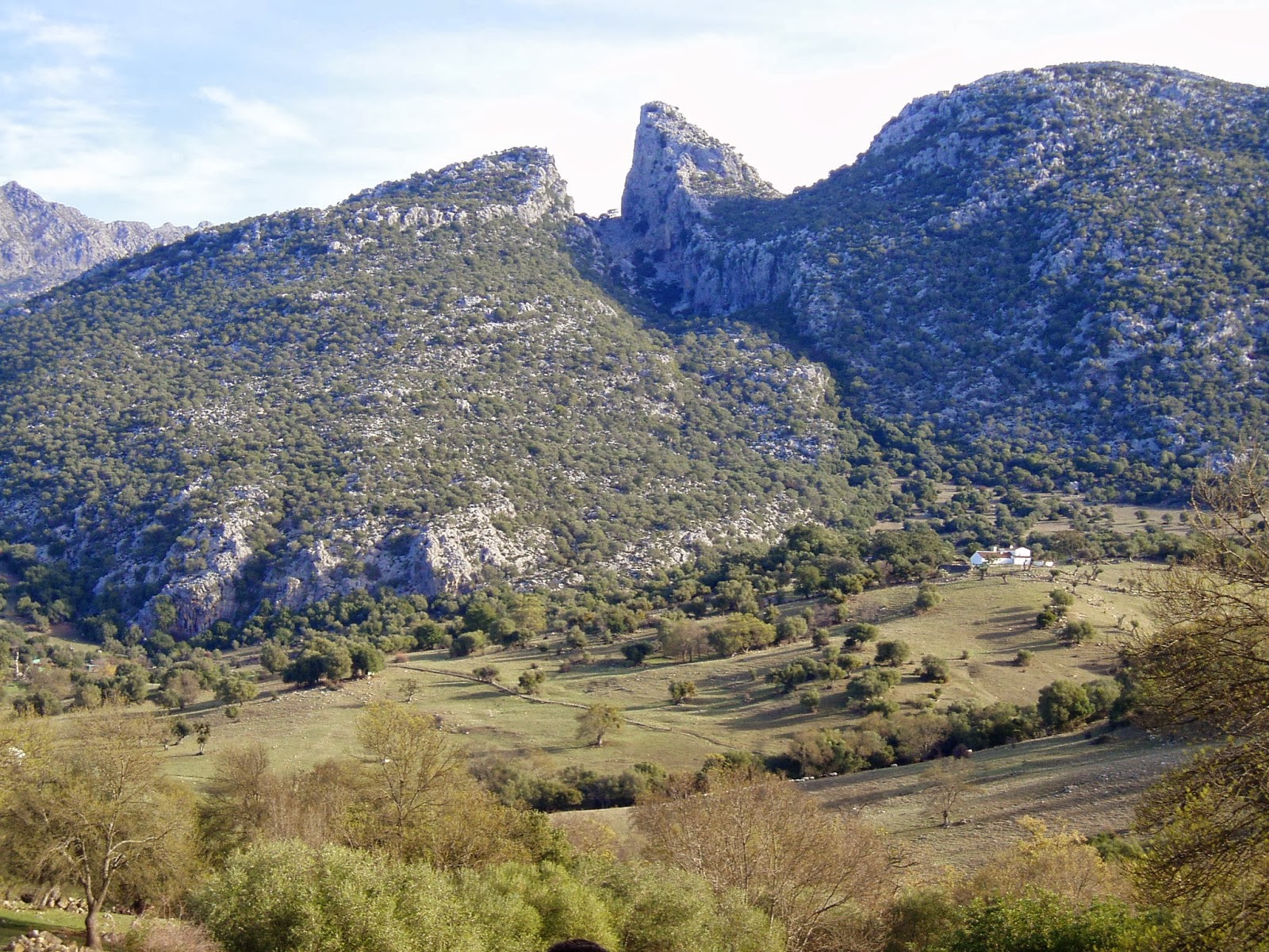 Ubrique natural A través del Salto del Cabrero un paseo avistando las