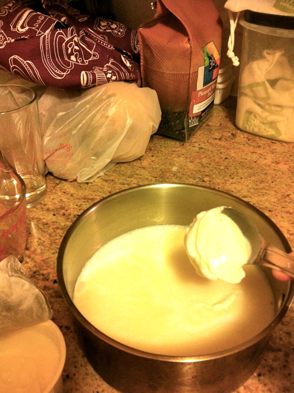 DIY Yogurt Good for the Body and the Budget!