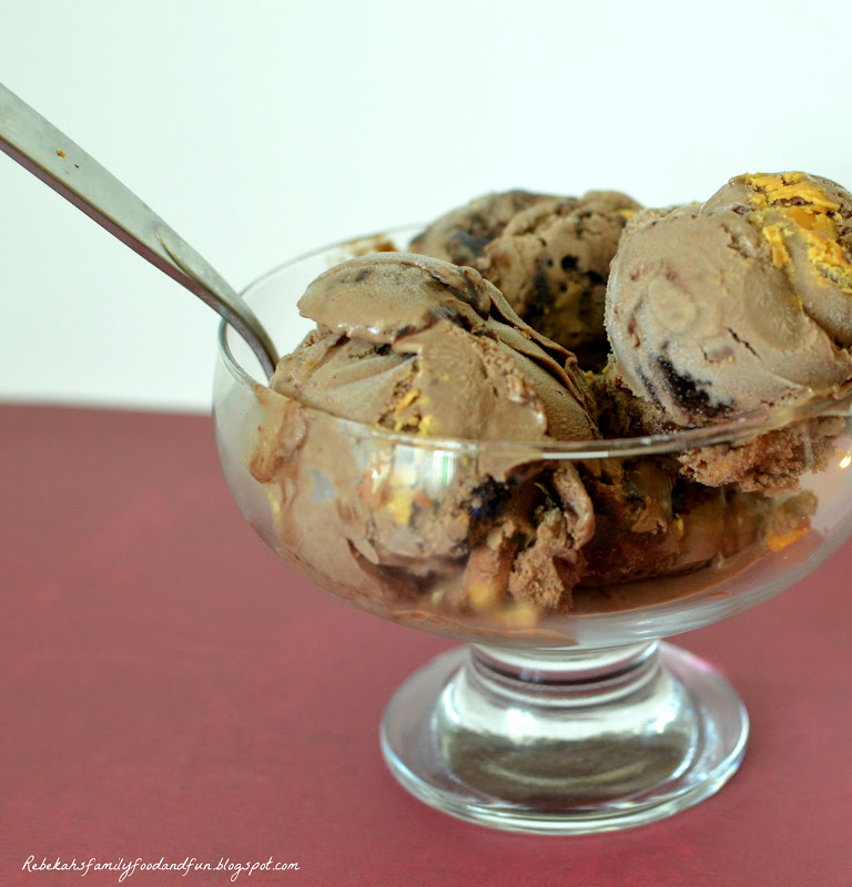 Family, Food, and Fun Chocolate Fudge Swirl Peanut Butter Ice Cream