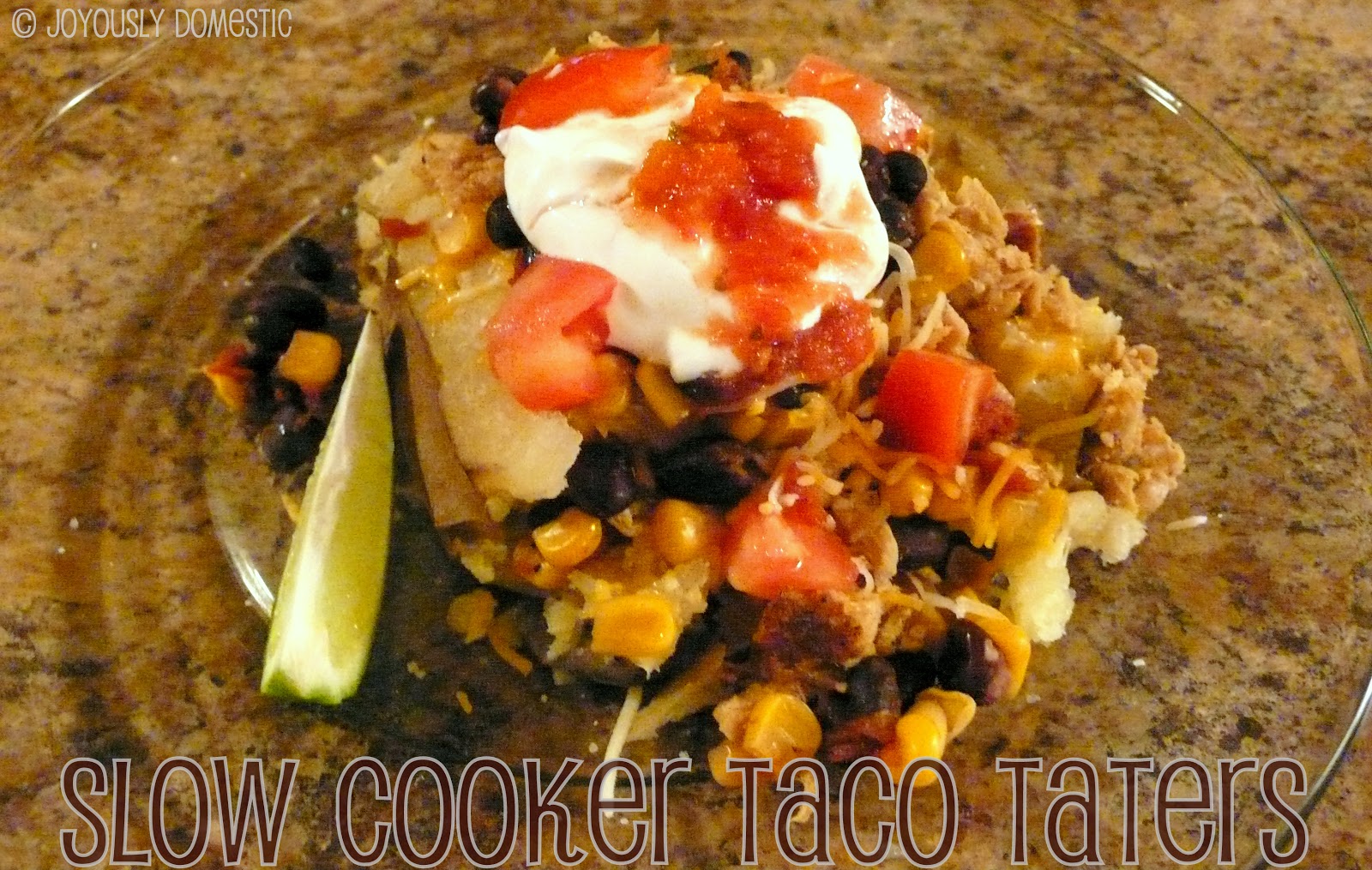 Joyously Domestic Foil and the Slow Cooker, Volume I