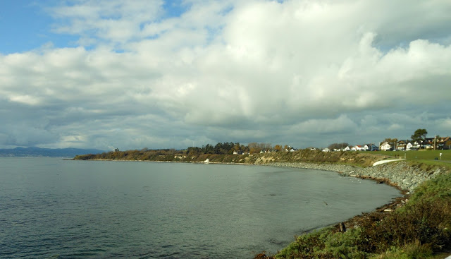 Houses along Victoria's Dallas Road as seen from Clover Point Park (2012-11-14) 