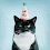birthday_cat.gif