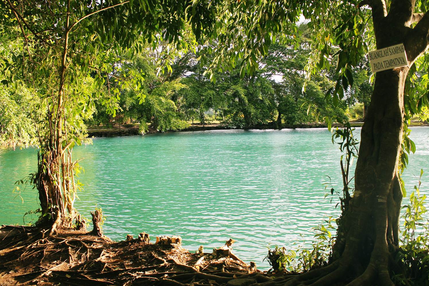 Danau Linting | BANDRALOKA (EDUCATIONS, IN & OUTDOOR MANAGEMENT TRAINING)