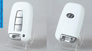 Hyundai elantra car 2013 key - صور مفاتيح سيارة هيونداى النترا 2013 Hyundai elantra car 2013 key - صور مفاتيح سيارة هيونداى النترا 2013