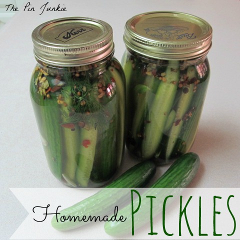 homemade pickles refrigerator recipe recipes junkie canning brag house food easy they party projects than humble link cookout memorial features