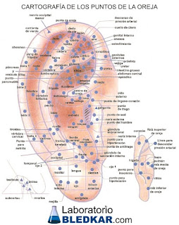 mapa auriculoterapia mapa auriculoterapia
