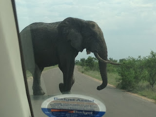 Jumbo zat bijna bij ons in de auto........... Het is allemaal wel weer goed gegaan, maar zó dichtbij is altijd weer even spannend.