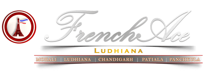 FrenchAce: The Best French Language Institute in Ludhiana, Learn French in Ludhiana, French Classes