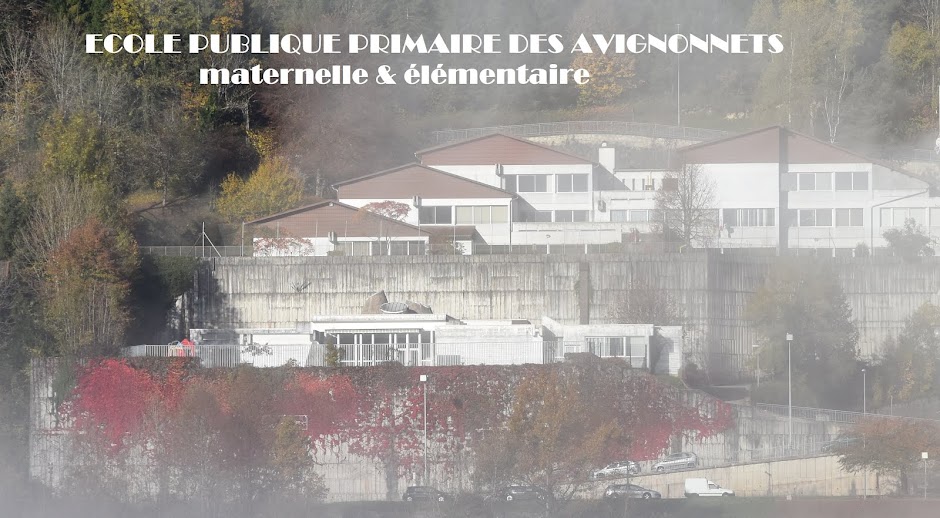école primaire des Avignonnets