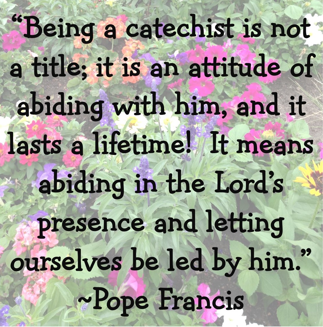 Look to Him and be Radiant 7QT Advice for Catechists from Pope Francis
