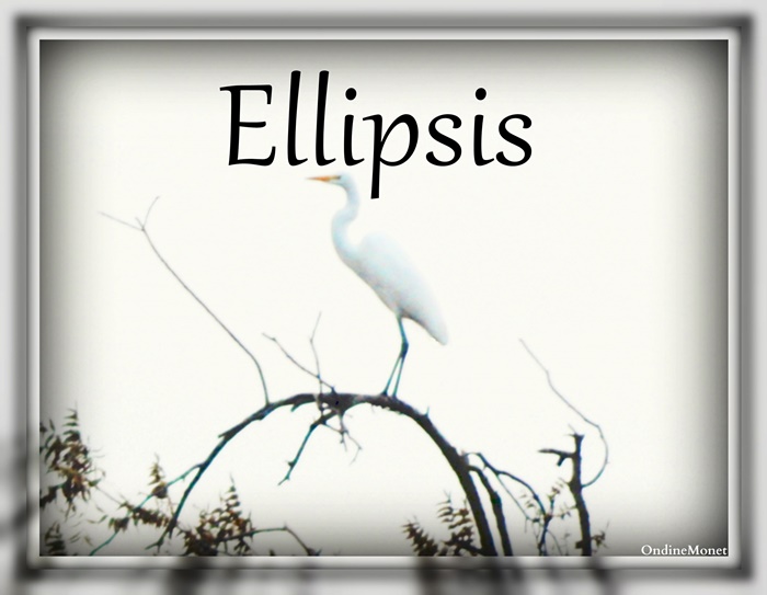 Ellipsis