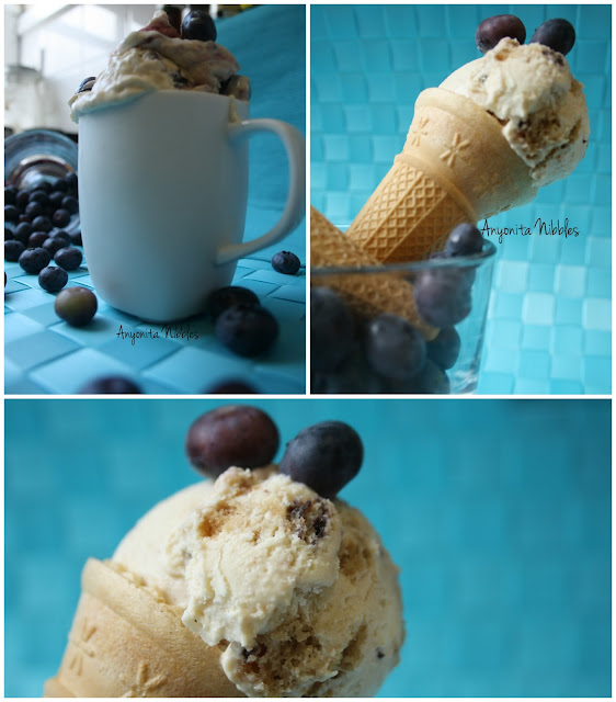 A collage of Weight Watcher's Bluberry Muffin Ice Cream photos from www.ayonita-nibbles.com