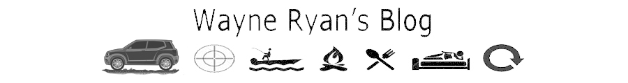 Wayne Ryan's blog