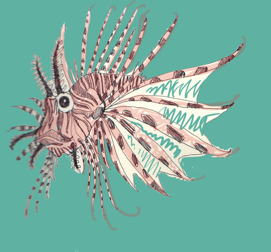 Jenny Pope's Carved out Place: Happy Holidays Lionfish!