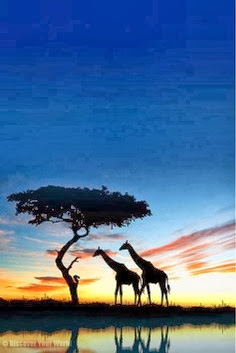Africa wanderlust